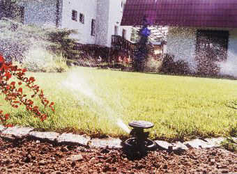 Zraszacz wysuwany w akcji