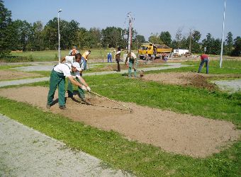 Ziele� na miejcach parkingowych