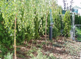 Gda�sk apartamentowce