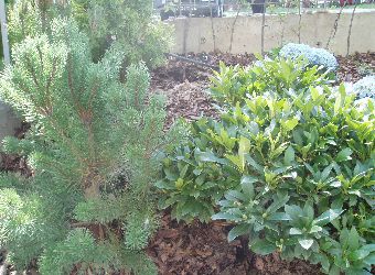 Gda�sk apartamentowce