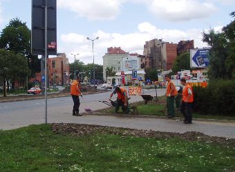 Ziele� miejska Pozna�