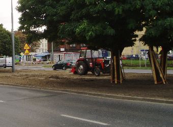 Ziele� miejska Pozna�