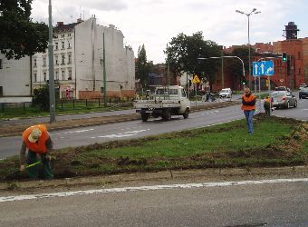 Ziele� miejska Pozna�