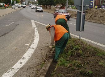 Ziele� miejska Pozna�