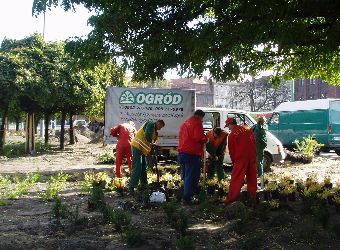 Ziele� miejska Pozna�