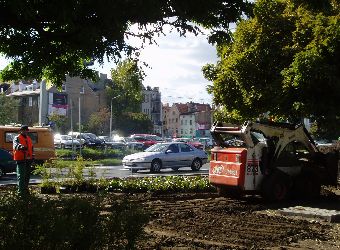 Ziele� miejska Pozna�