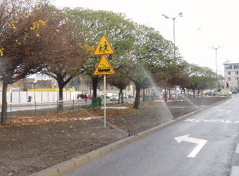 Ziele� miejska Pozna�