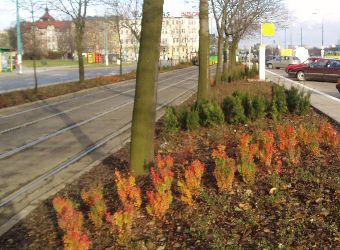 Ziele� miejska Pozna�