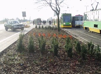 Ziele� miejska Pozna�