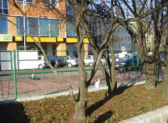 Ziele� miejska Pozna�