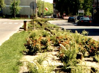 Ziele� miejska w S�ubicach