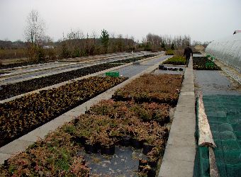 Materia� szk�karski